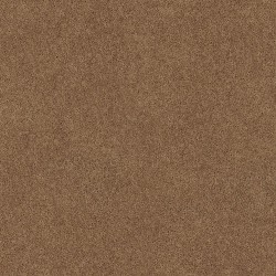 Rio Grande color swatch