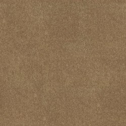 Eagles Nest color swatch