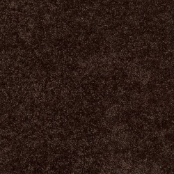 Walnut color swatch