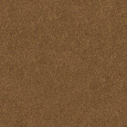 Desert Sunrise color swatch