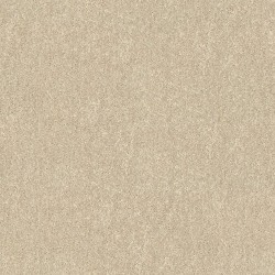 Morning Light color swatch