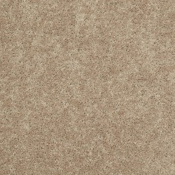 Wild Dune color swatch