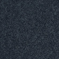 Caribbean Coast color swatch