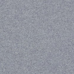 Dolphin color swatch