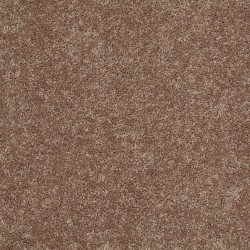 Rio Grande color swatch