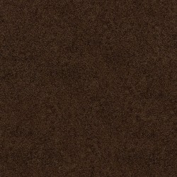Walnut color swatch