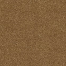 Desert Sunrise color swatch