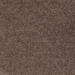 Barn Beam color swatch