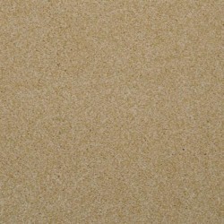 Enthralled - Sand Dune