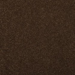 Marsh Brown