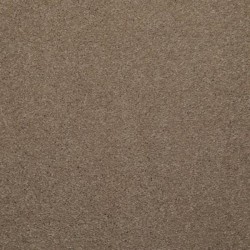 Khaki Tone