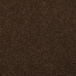 Marsh Brown