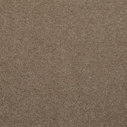 Khaki Tone