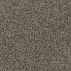 Rugged Suede