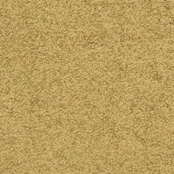 Ochre