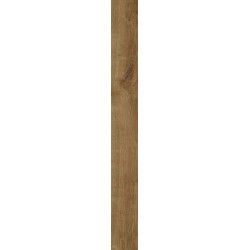 Ancient Umber