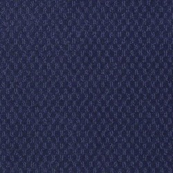 Blue Cover