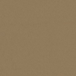 Canyon Dust