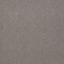 Gray Hare