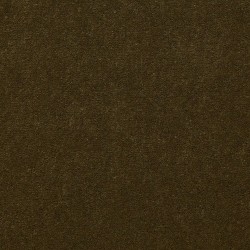 Venetian Green