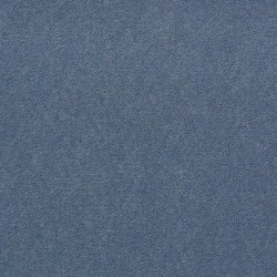 Holland Blue