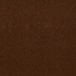 Cinnamon Sugar
