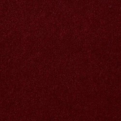 Vivid Burgundy