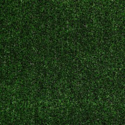 Tactic I - Holly Leaf