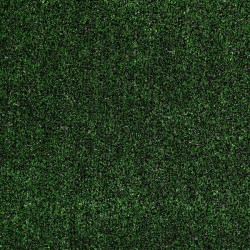 Tactic (t) - Holly Leaf