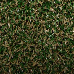Sea Grass