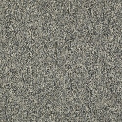 Meteor Stone