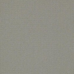 Cement