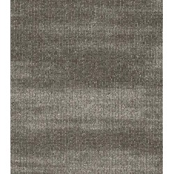 Bronzite
