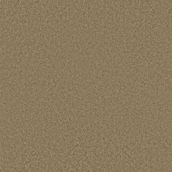 Cargo