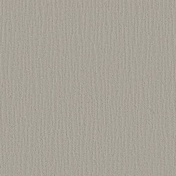 Clear Gray