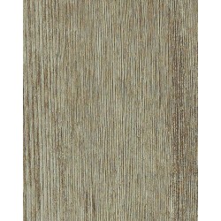 In the Grain II 20 - Hemp