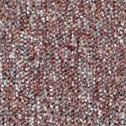 Wineberry