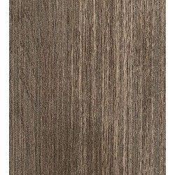 Elm