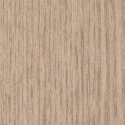 Beige Chestnut