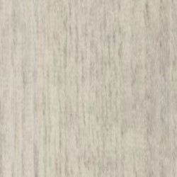 White Chestnut