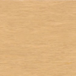 Premium Excelon Raffia | Armstrong VCT