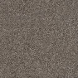 Gardner Soil