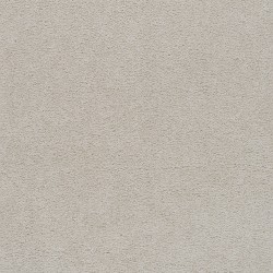 Blank Canvas