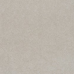 Blank Canvas