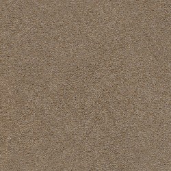 Charismatic color swatch