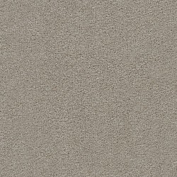 Ventura color swatch