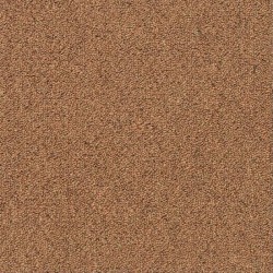 Momentum IV Carpet Tile - Tempo