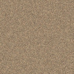 Bronze Sheen