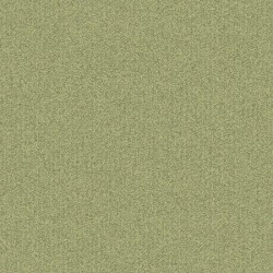 Limelight