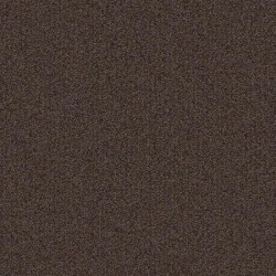Mocha